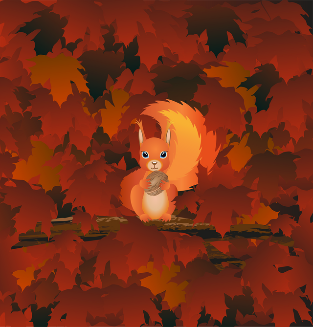 squirrel-6664212_1280.png