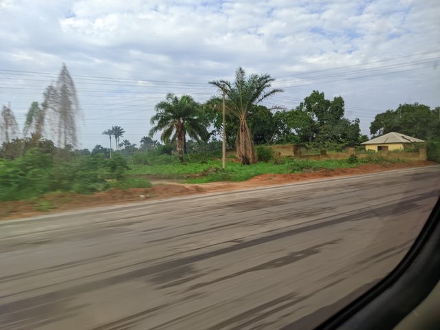 1000722343.jpg