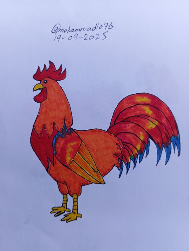 1000106209.jpg