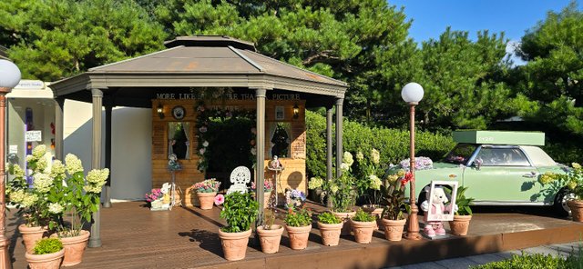 KakaoTalk_20240816_231347026_20.jpg