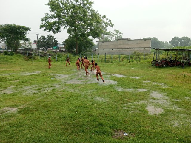 IMG_20250615_132543_748.jpg