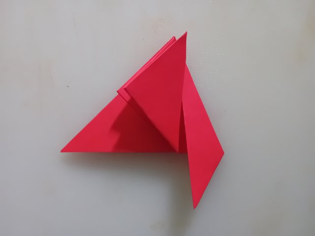 1000042541.jpg