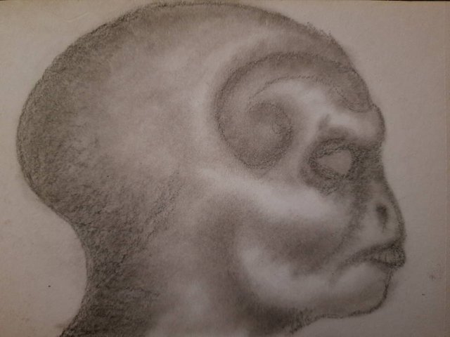 20250610_110815.jpg