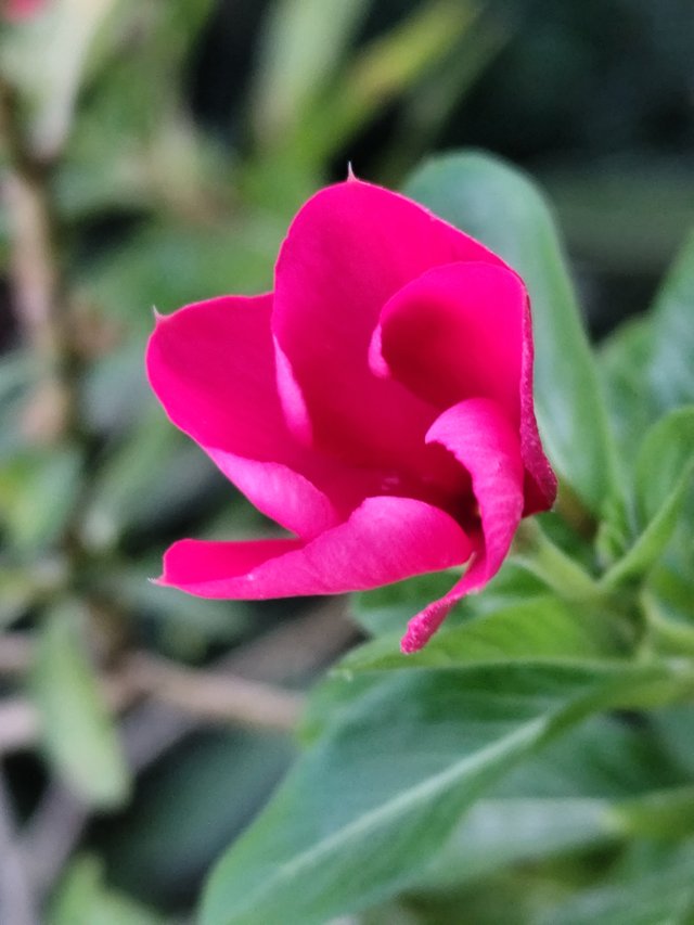 IMG_20250622_181439.jpg