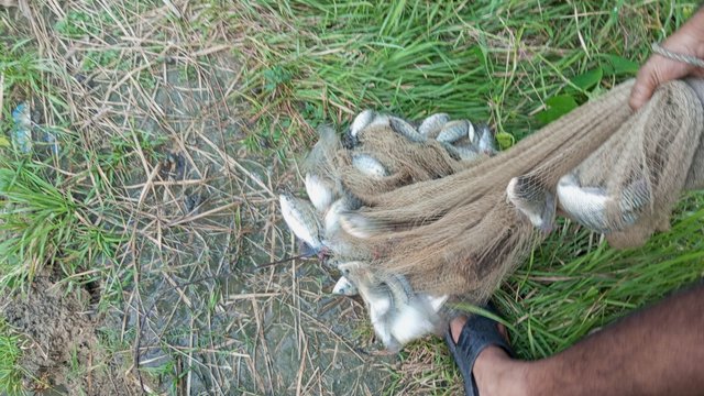 IMG_20230913_174228_6.jpg