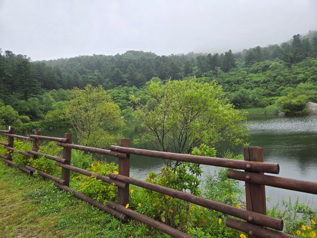 20250701_102519.jpg