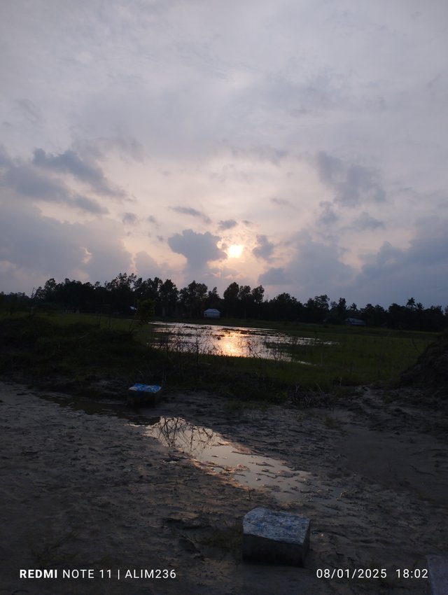 IMG_20250801_180248.jpg