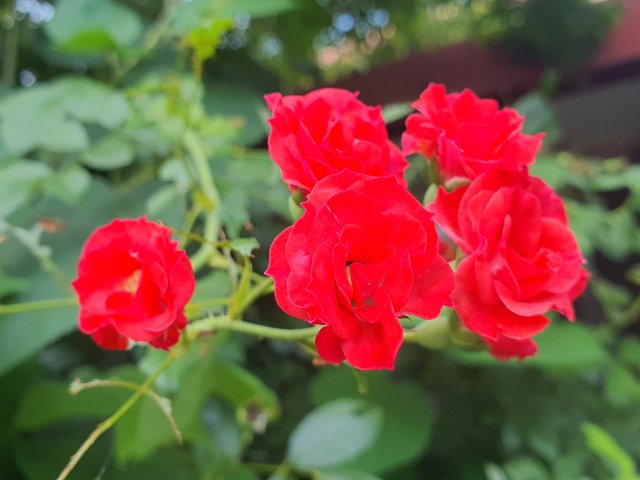 20250804_170628.jpg