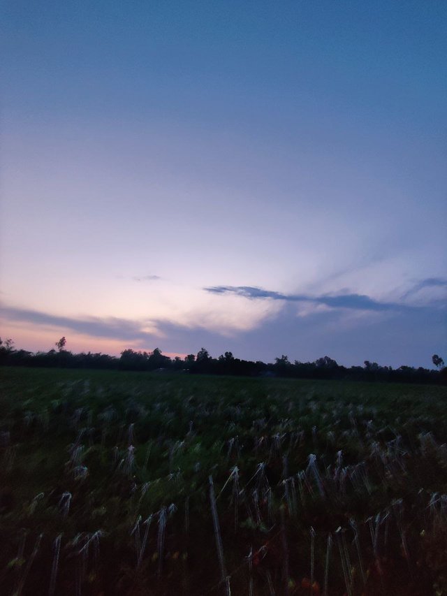 1000036487.jpg