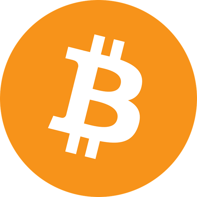 bitcoin-g209393c64_1280.png