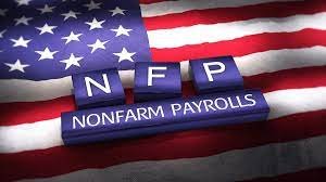 NFP.jfif