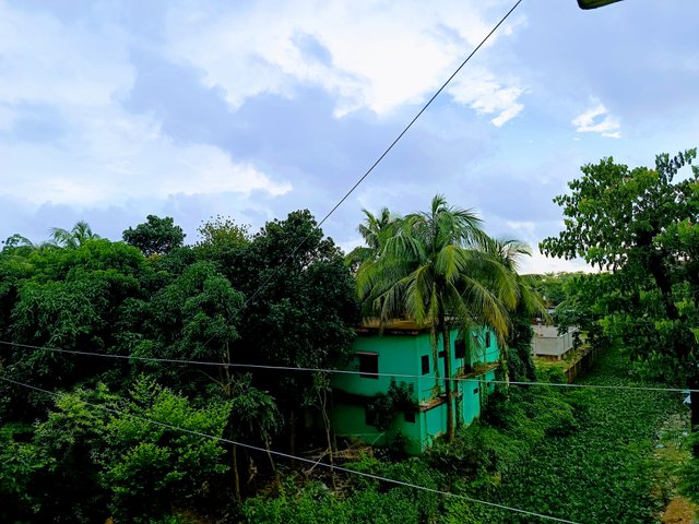 IMG_20250718_175153.jpg