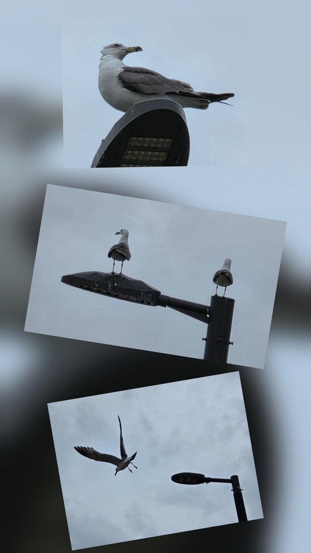 1000017763.jpg