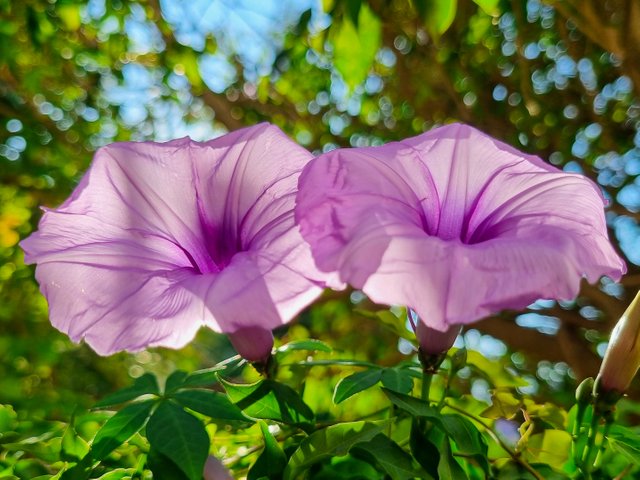 20250619_072525.jpg