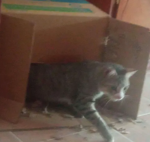 caja.PNG