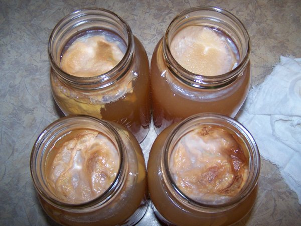 Vinegar - buttercloth mothers in jars crop Nov. 2018.jpg