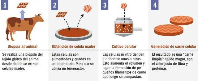 la-investigacion-para-lograr-carne-artificial-hace-sensibles-avances-526910.jpg