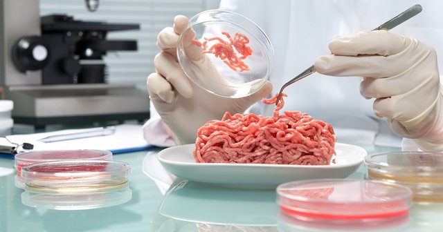 carne-artificial-laboratorio.jpg