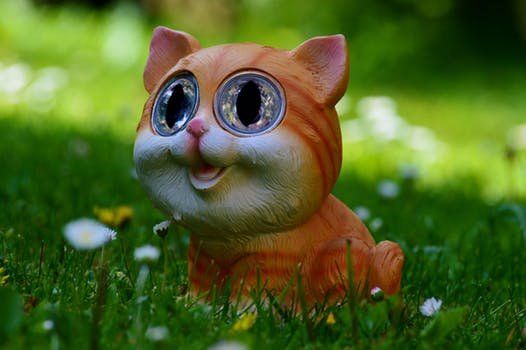 cat-meadow-cute-funny.jpg