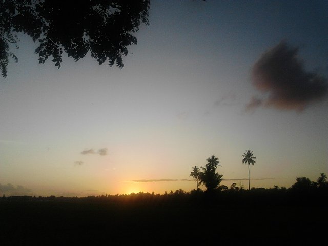 IMG20230527183805.jpg