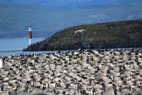 isla-de-los-pajaros.jpg