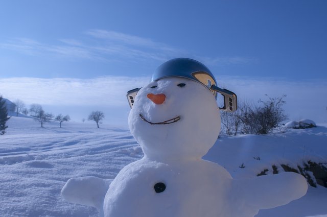 snowman-590386.jpg