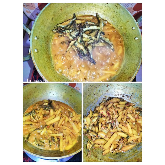 PhotoCollage_1755248118154.jpg