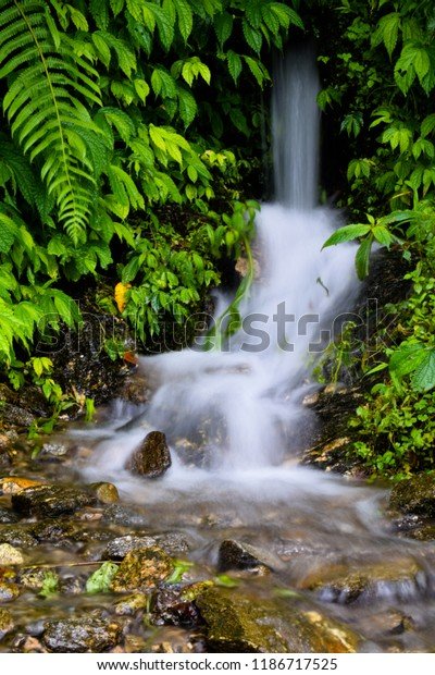 silky-water-waterfalls-600w-1186717525.jpg