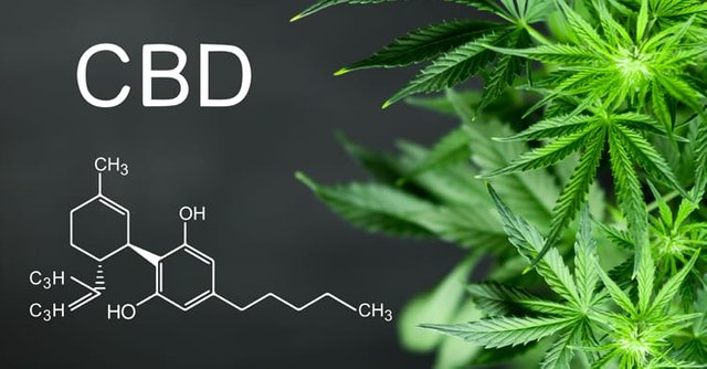 benefits-of-cbd-oil.jpg.pagespeed.ce.pnmaU6KvLF.jpg