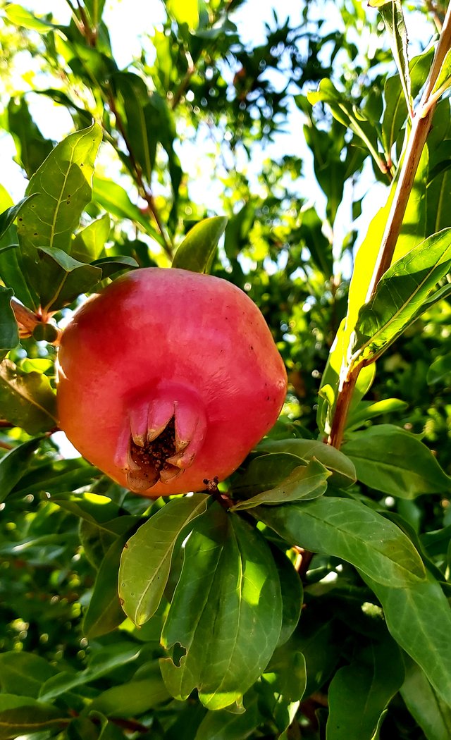 20200906_225922.jpg