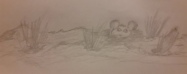 20250803_215953.jpg