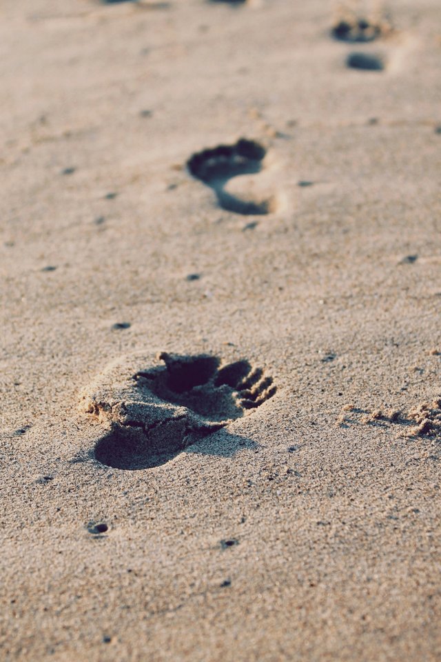 christopher-sardegna-iRyGmA_no2Q-unsplash.jpg