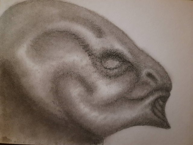 20250521_110248.jpg