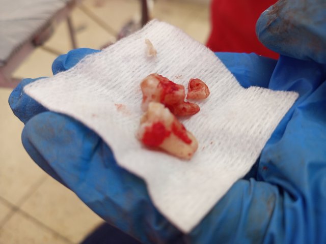 IMG_20250606_114405_478.jpg