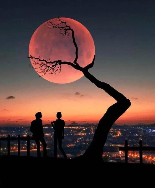 The way this tree looks like it’s holding up the moon_.jpg