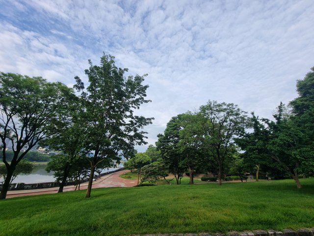 20250624_070246.jpg