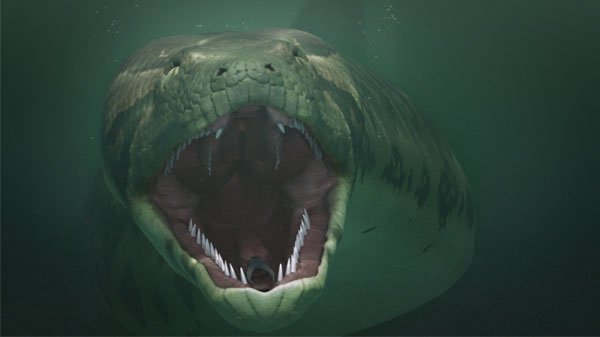 titanoboa.jpg