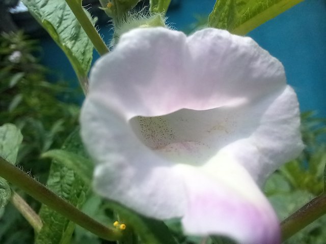 20250801_115158.jpg