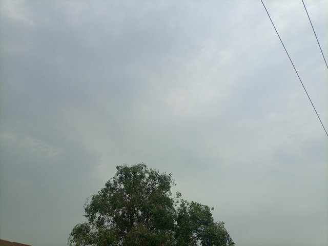 IMG_20250615_120955_284.jpg