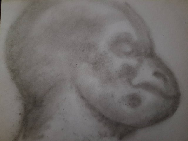 20250609_110312.jpg