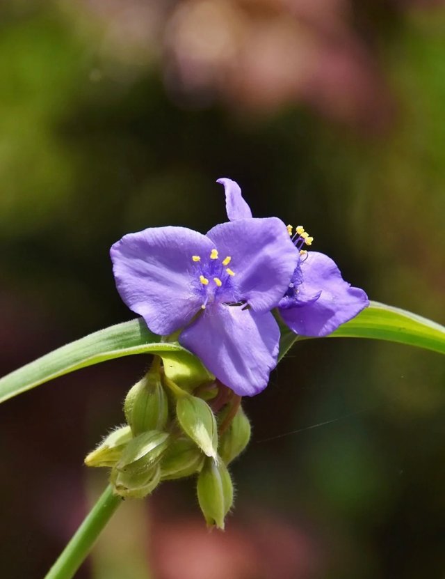 IMG_20250616_075611.jpg