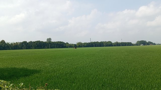 IMG_20240918_103032_8.jpg