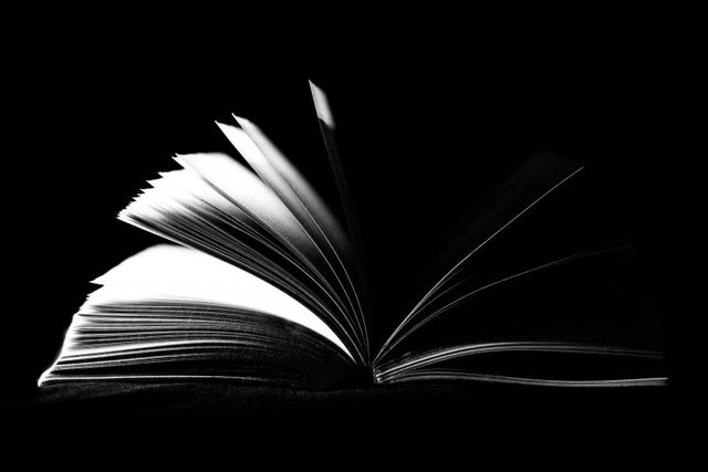 book-open-pages-literature-159872-810x540.jpeg