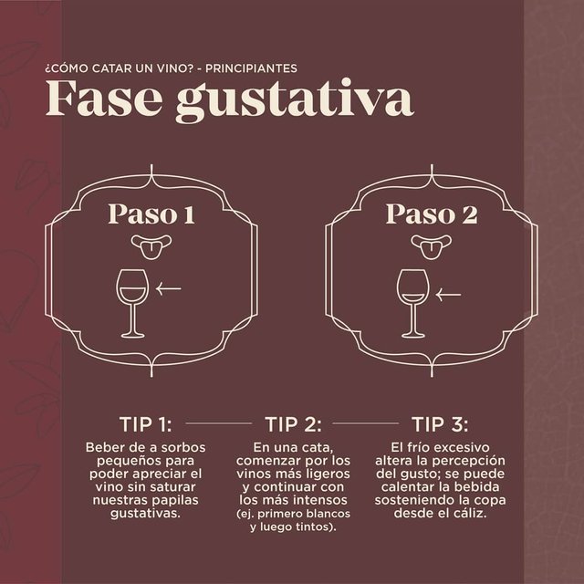 Sello Austral - Cómo catar un vino - Fase Gustativa.jpg