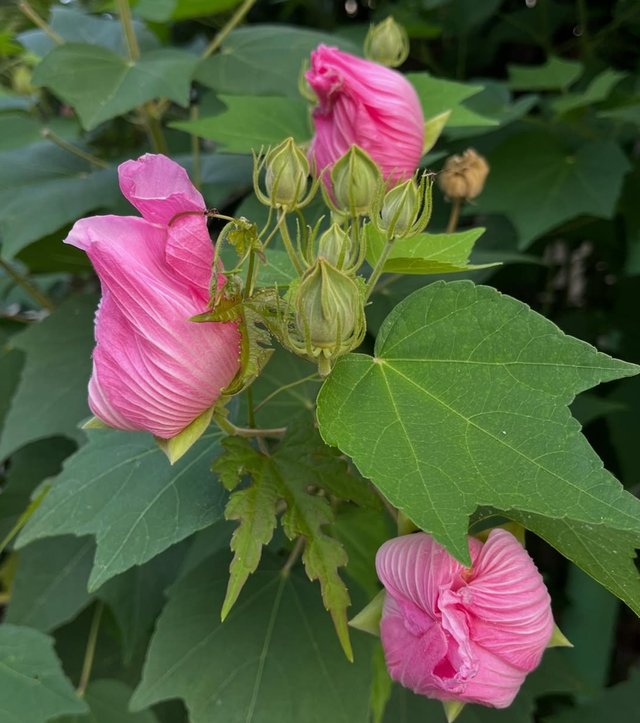 IMG_20250808_212758.jpg