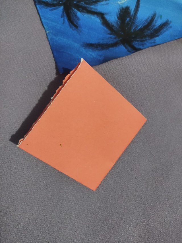 1000015153.jpg