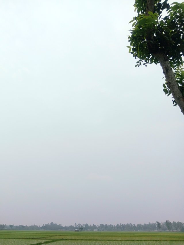 3639.jpg