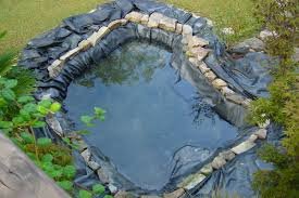 Pond Liner.jpg
