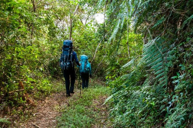 personas-portando-grandes-mochilas-sendero-selva-tropical-brasil_17661-494.jpg