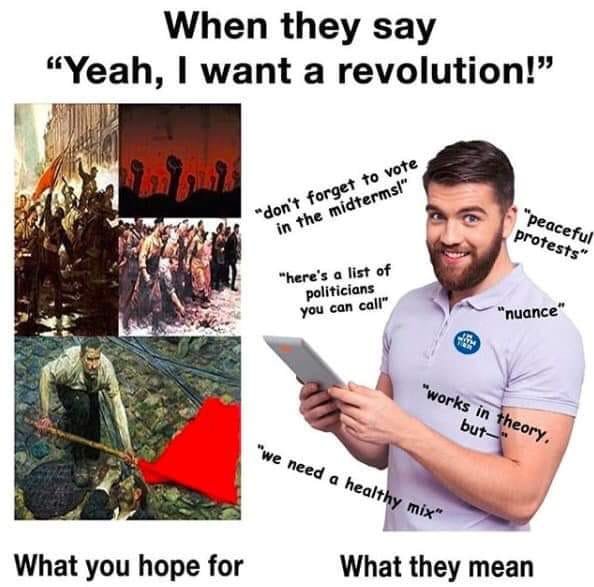 I want a revolution.jpg